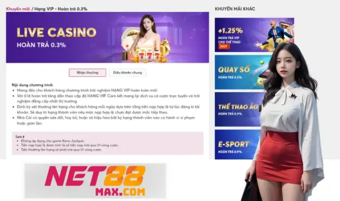 Hoàn trả 0.3% Live Casino và yêu cầu siêu đơn giản
